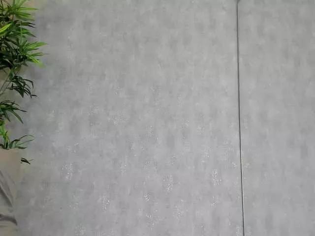 Offline KatelynSparks on BongaCams