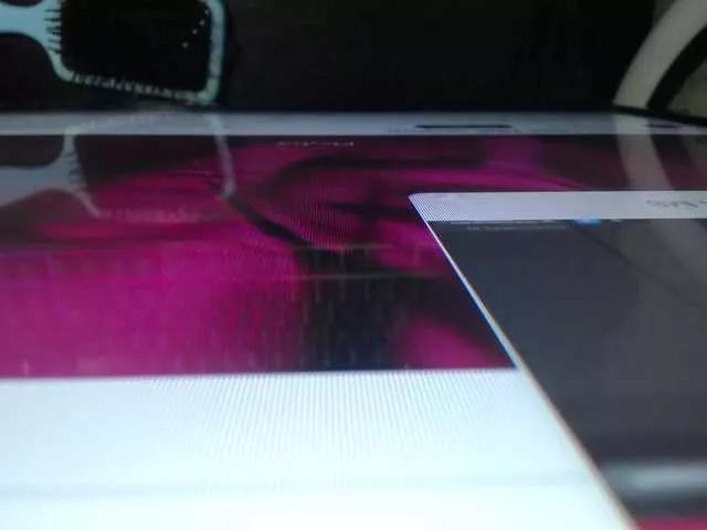 rose--gold on BongaCams 