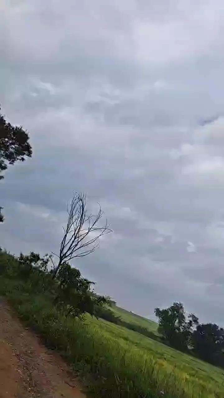Arturito on Cam4 