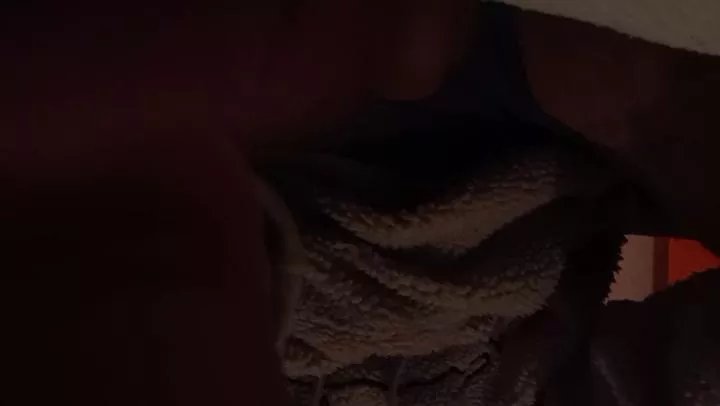 Offline canocanim01 on Cam4