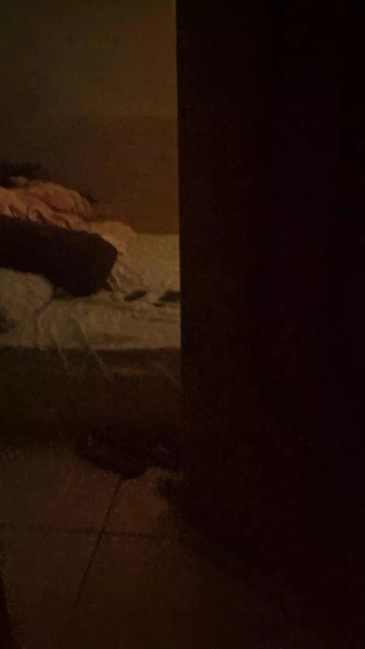 Offline FabioSafadooo on Cam4