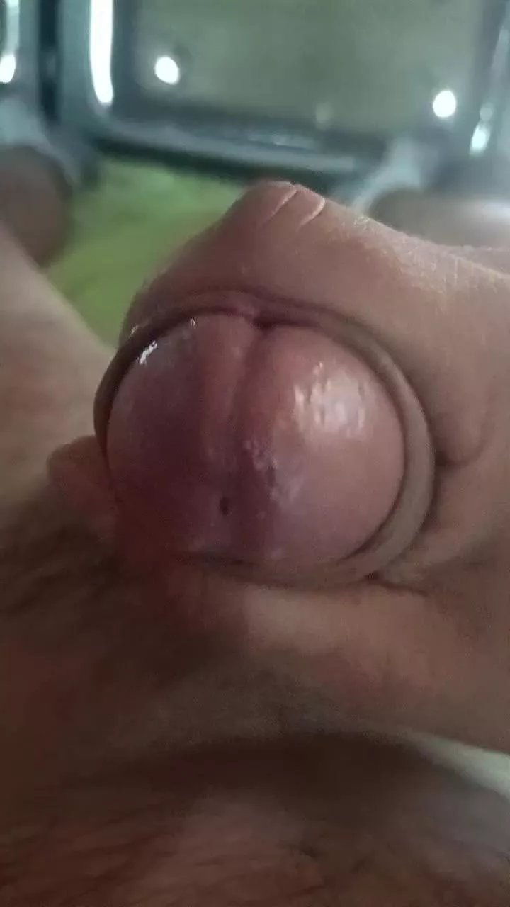 Offline Gallumbero2 on Cam4