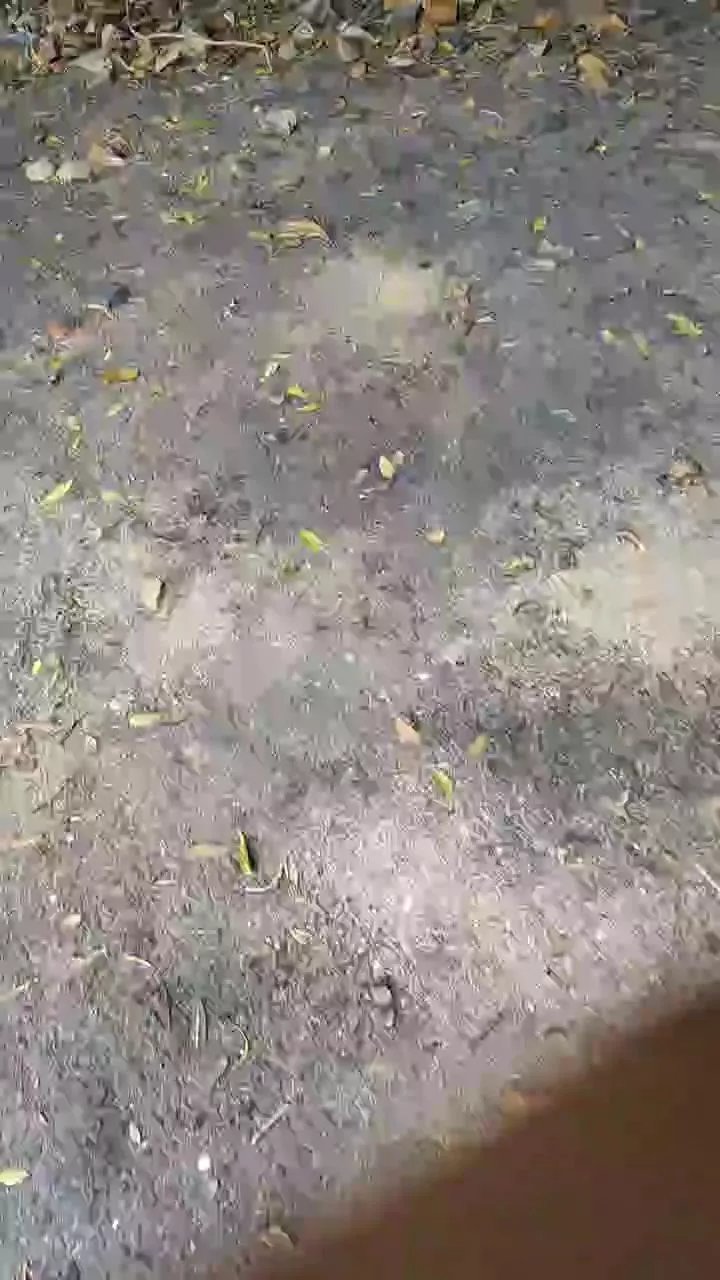 Offline Kilyou on Cam4