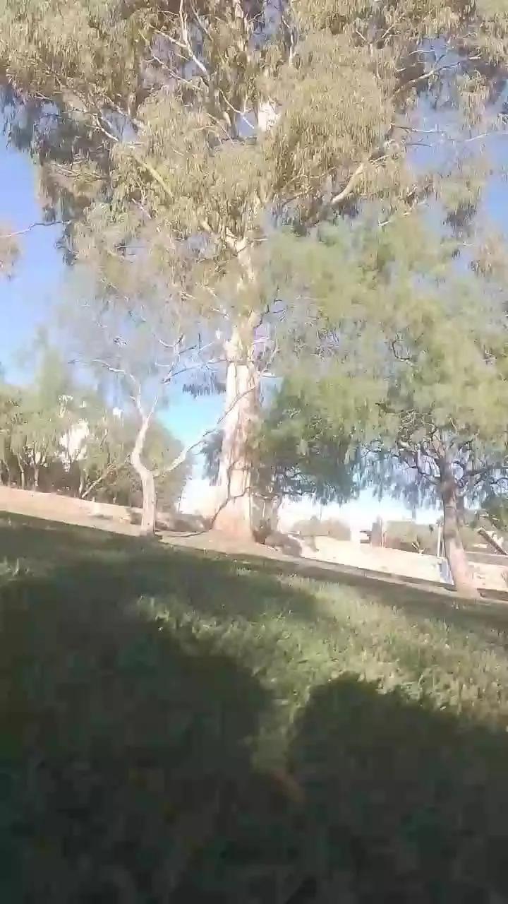 Laoquedad on Cam4 
