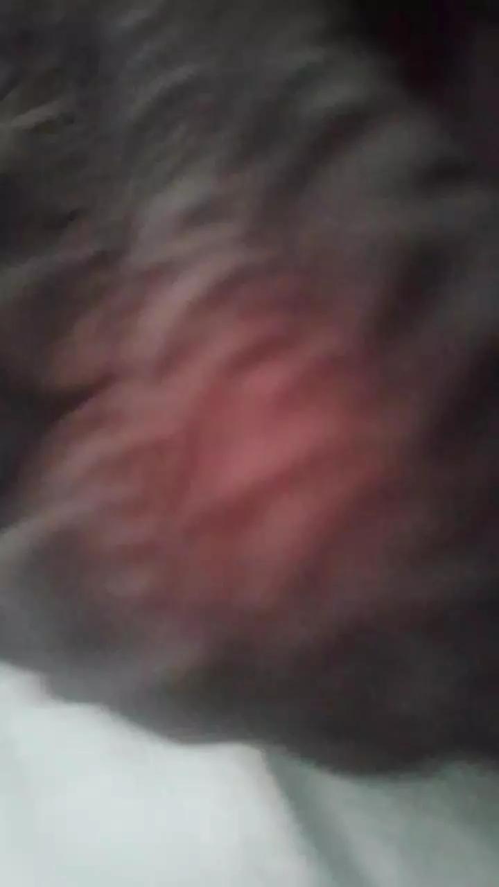 Laoquedad on Cam4 