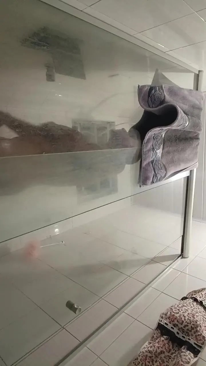 Offline Magrinhoaju on Cam4