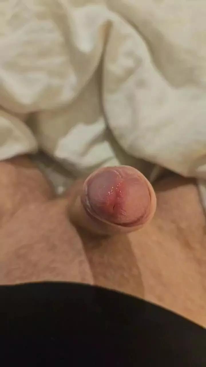 max26x on Cam4 