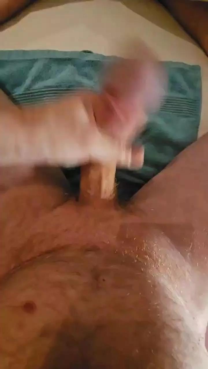 Nsj81 on Cam4 