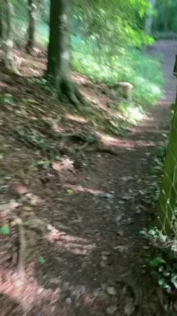 Outandabout on Cam4 