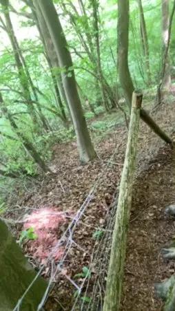 Outandabout85 on Cam4 