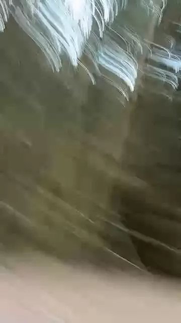 Offline pacopervers on Cam4