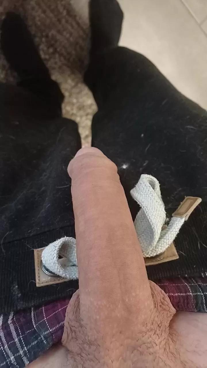 smaster6 on Cam4 
