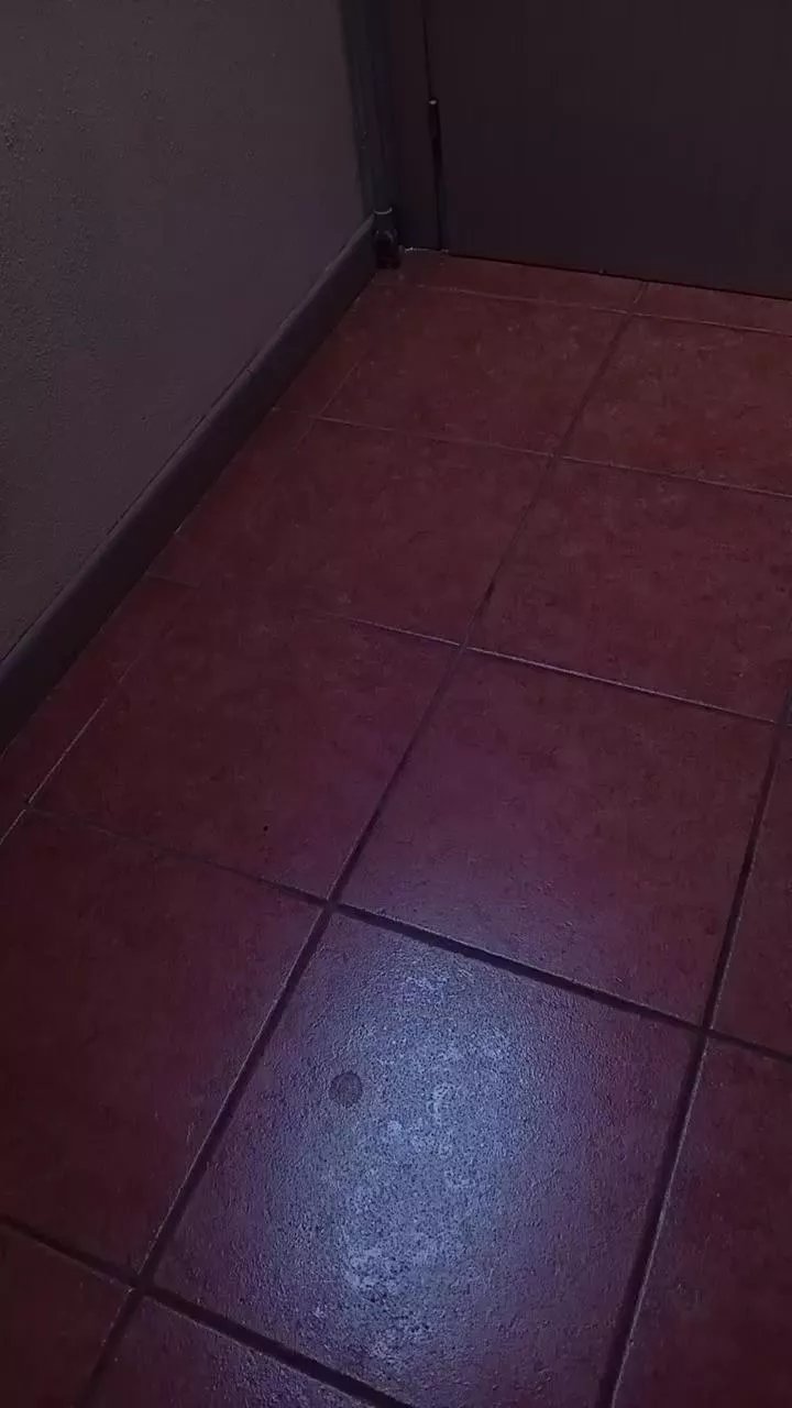 Offline TaraTrav33 on Cam4