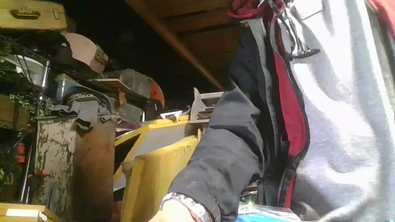 thompson3 on Cam4 