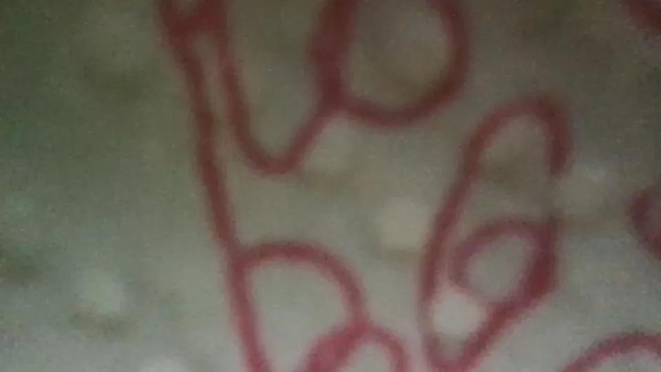 Travjenny1 on Cam4 