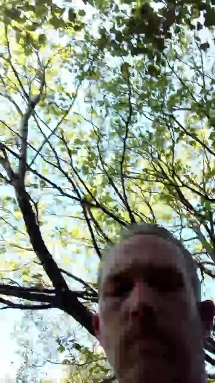 Trolls37 on Cam4 