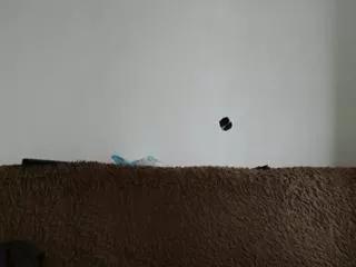 arti_hard on Flirt4Free 