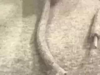 milan_thomson on Flirt4Free 