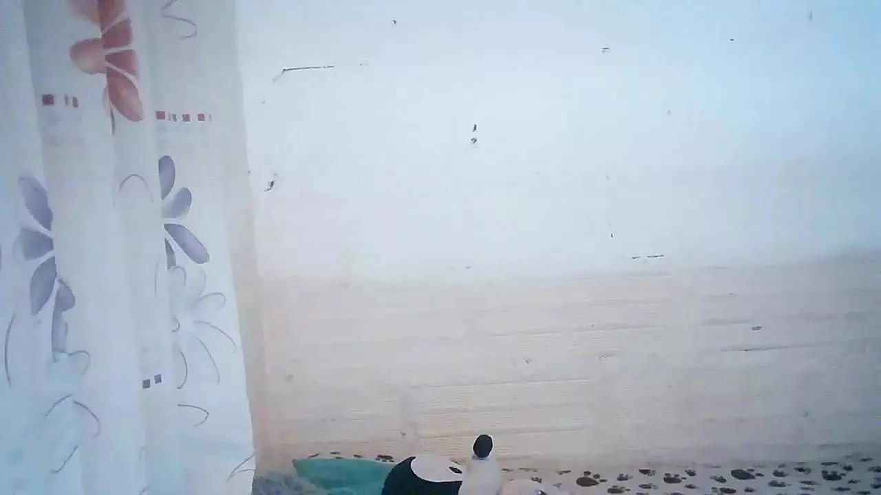 Little_Miller on Streamray 