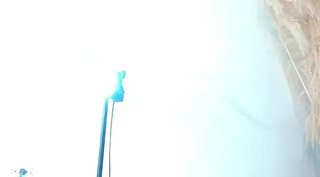 cristhy_huge_cockts on StripChat 