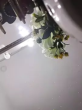 Freechat DannaDooll99 on StripChat