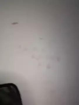 DulceLenns on StripChat