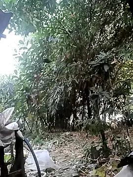 Hotty-rosni from StripChat