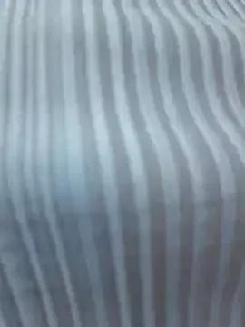 Freechat NataLive on StripChat