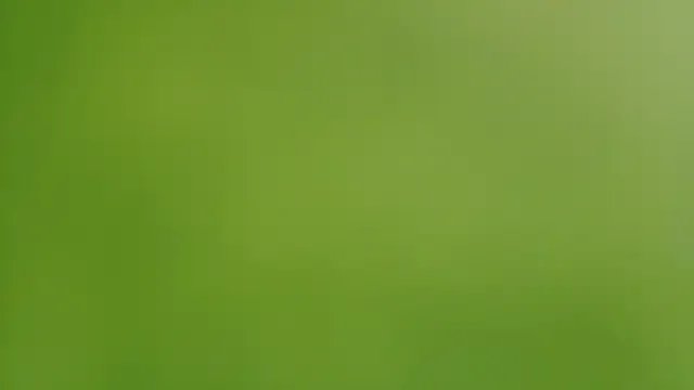 Freechat Sassy_Latina on StripChat