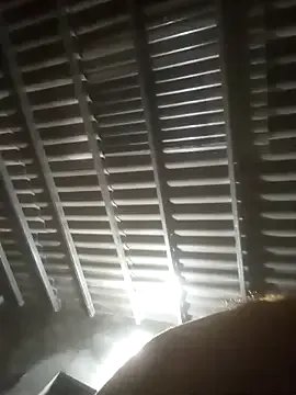 Sgs594802799 — Group on StripChat