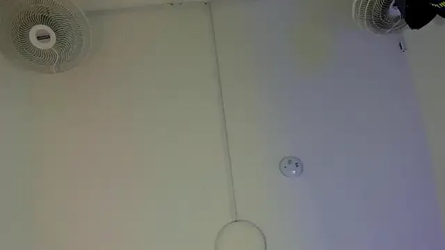 Freechat SOPHICOLLINS on StripChat