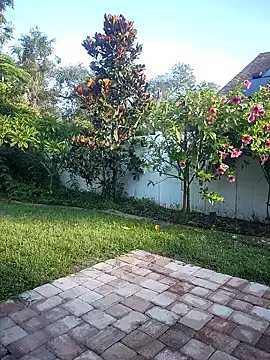 Freechat theclubist111 on StripChat